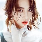 ตงฉี (Dong Qi)
