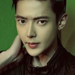 เสี่ยวเซียงเฟย (Xiao Xiangfei)