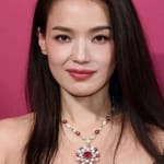 ซู่ฉี (Shu Qi)