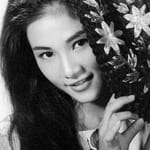 เฉิงเป่ยเป่ย (Cheng Pei-Pei)