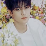 มิ่งหยู (Mingyu)