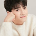 หวังหงยี่ (Wang Hongyi)