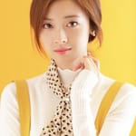 เชาหยุน (Shao Yun)