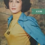 เหมิงชิน (Meng Chin)