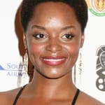 เอ็นบูเช่ ไรท์ (N'Bushe Wright)