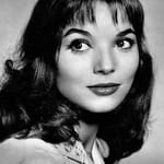 เอลซ่า มาร์ตินเนลลี (Elsa Martinelli)