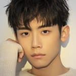 หลี่ชิง (Li Qing)