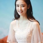 หยาง ฉีหรู (Yang Qiru)