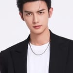 เฉิน เฮ่ย (Chen Heyi)