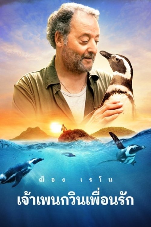 My Penguin Friend (2024) บรรยายไทย