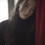 หลิว ชู่ซวน (Liu Chuxuan)