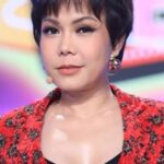 เวียดฮวง (Việt Hương)