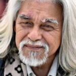 วันฮานาฟี ซู (Wan Hanafi Su)