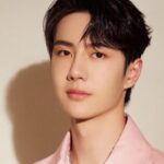 Wang Yibo (Wang Yibo)