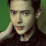 เสี่ยวเซียงเฟย (Xiao Xiangfei)