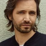 แอรอน สแตนฟอร์ด (Aaron Stanford)
