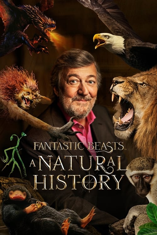 Fantastic Beasts A Natural History (2022) ซับไทย