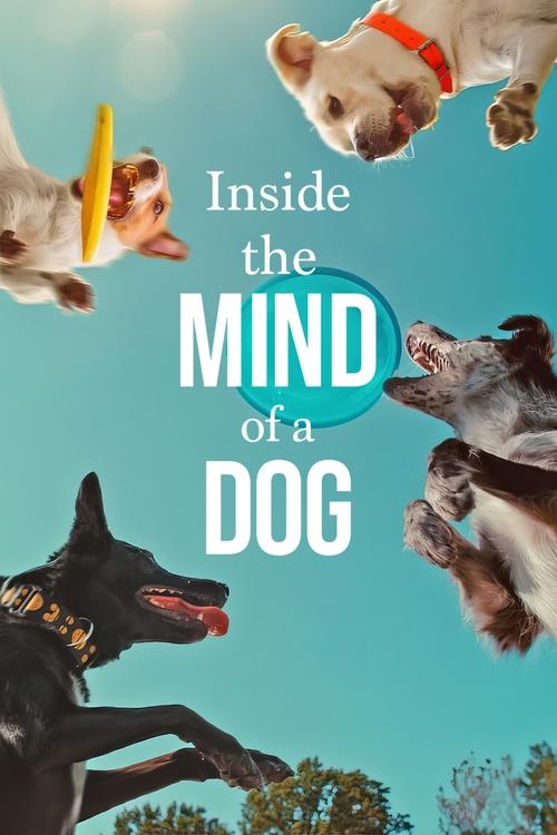 Inside the Mind of a Dog อ่านใจสุนัข (2024) NETFLIX