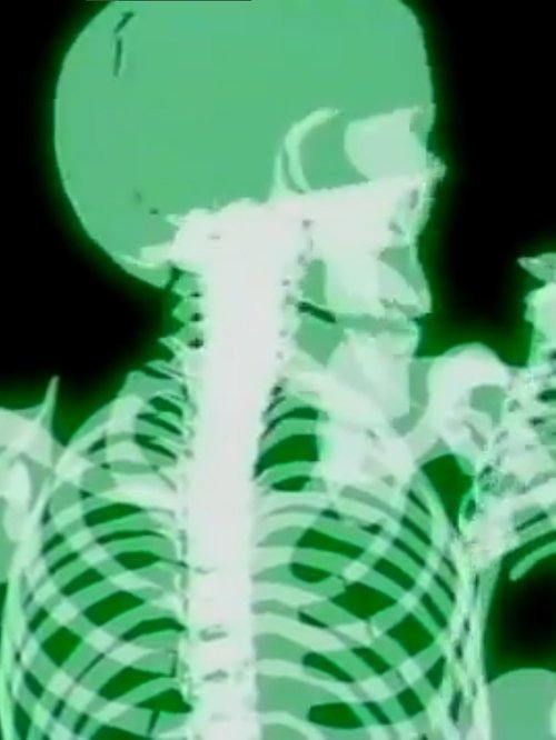 Frankie and Johnny (1991) HDTV บรรยายไทย