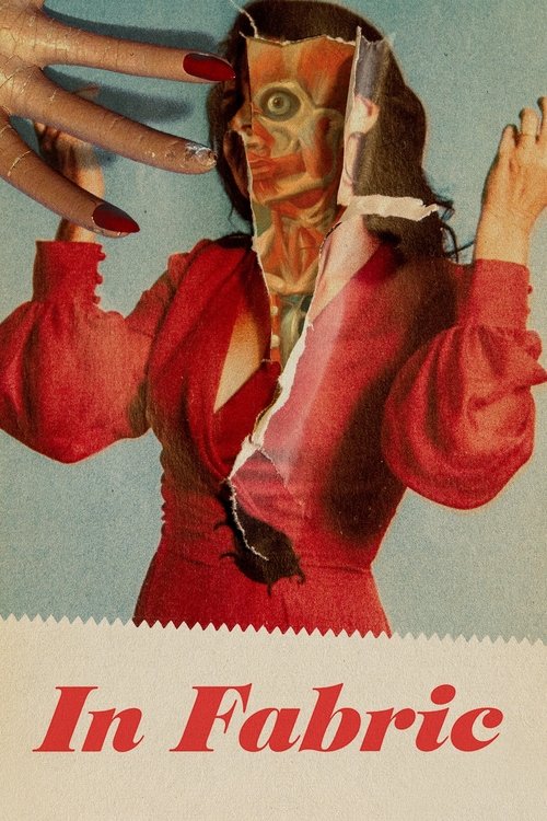 In Fabric (2018) HDTV