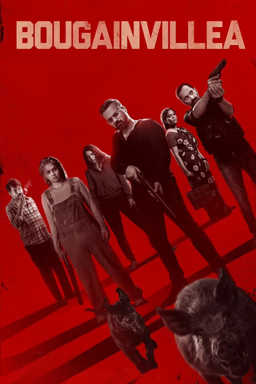 Bougainvillea (2024) บรรยายไทย