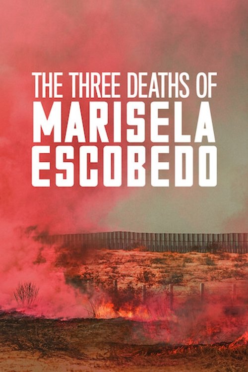 The Three Deaths of Marisela Escobedo 3 โศกนาฏกรรมกับมารีเซล่า เอสโคเบโด (2020) NETFLIX
