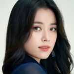 ฮัน ฮโยจู (Han Hyo-joo)