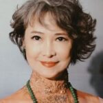 โจเซฟิน เสี่ยว ฟอง ฟอง (Josephine Siao Fong-Fong)