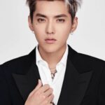 คริส วู (Kris Wu)