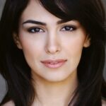 นาซานิน โบนิอาดี (Nazanin Boniadi)