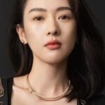 ตงหยาว (Tong Yao)