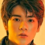 ยงสิน วงศ์พนิตนนท์ (Yongsin Wongpanitnont)