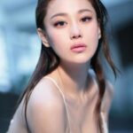 จาง ซินหยู (Zhang Xinyu)