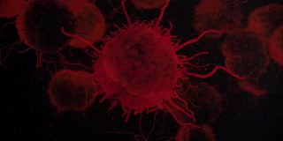 ตอนที่ 10 เพลงสวดส่งวิญญาณ 1981 1987 ตอนที่ 2