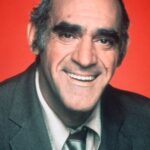 อาเบะ วิโกดา (Abe Vigoda)