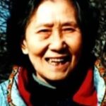 ติง เว่ยหมิน (Ding Weimin)