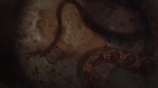 ตอนที่ 7 คนทรยศ