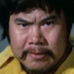 ฟาน เหม่ยเซิง (Fan Mei-Sheng)