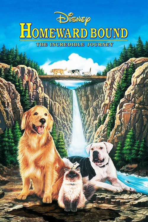 Homeward Bound The Incredible Journey สองหมาหนึ่งแมว ใครจะพรากเราไม่ได้ (1993)