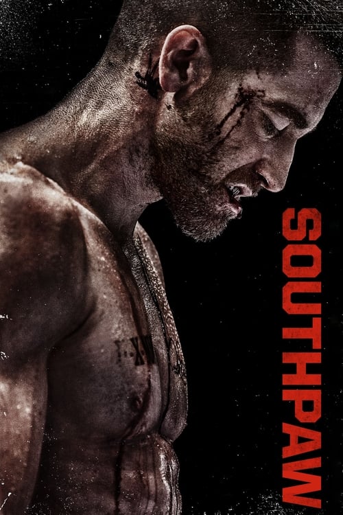 Southpaw (2015)  สังเวียนเดือด