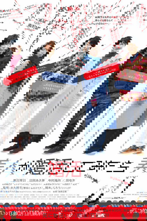 Marriage Hunting Beauty (2019)