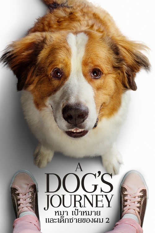 A Dog’s Journey หมา เป้าหมาย และเด็กชายของผม 2 (2019)