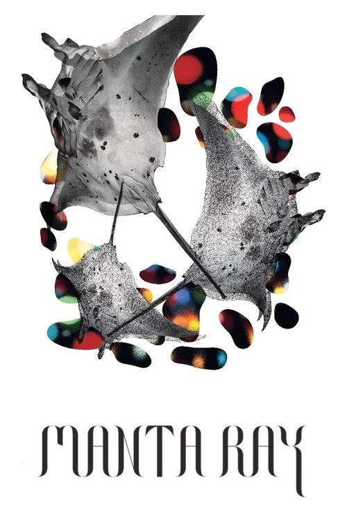 กระเบนราหู Manta Ray (2018)