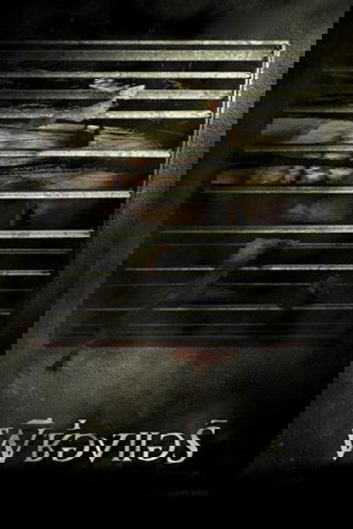 The sisters ผีช่องแอร์ (2004)