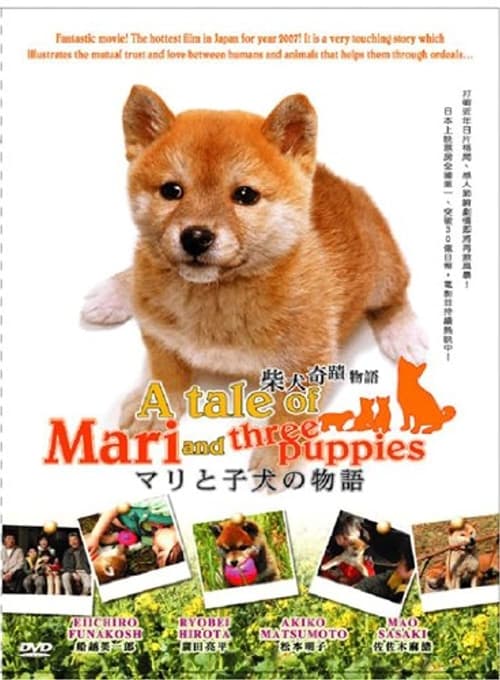 A Tale of Mari and Three Puppies (Mari to koinu no monogatari) เพื่อนซื่อ… ชื่อ มาริ (2007)