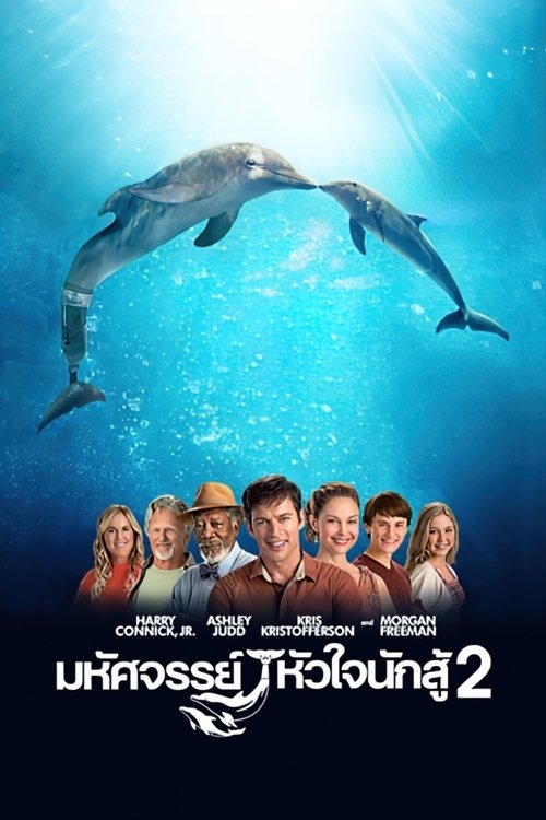 Dolphin Tale 2 มหัศจรรย์โลมาหัวใจนักสู้ (2014)