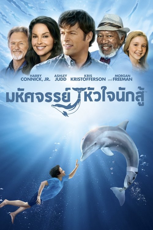 Dolphin Tale 1 มหัศจรรย์โลมาหัวใจนักสู้ (2011)