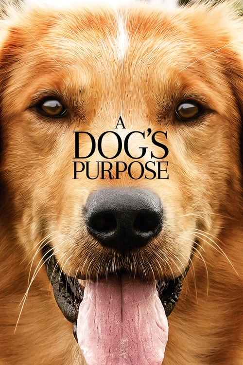 A Dog& Purpose หมา เป้าหมาย และเด็กชายของผม (2017)