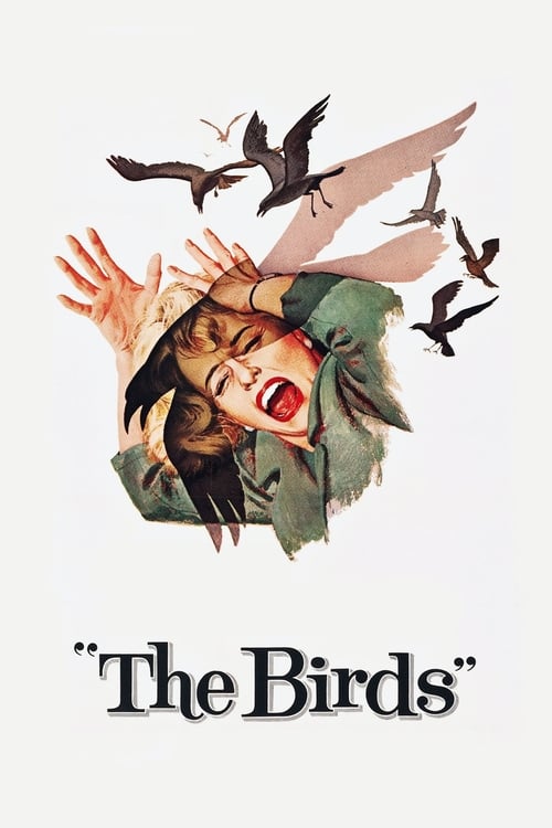 The Birds นก นก นก (1963)