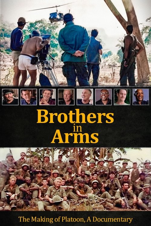 Brothers in Arms (2018) HDTV